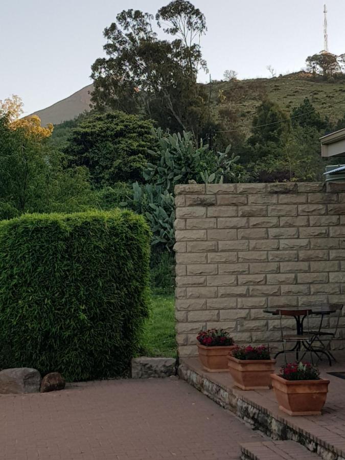 36 On Boom B&B Zastron Buitenkant foto